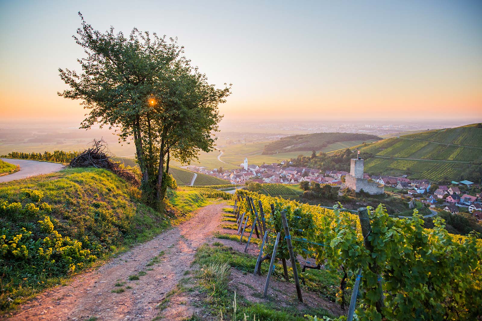fascinant-week-end-illus-alsace