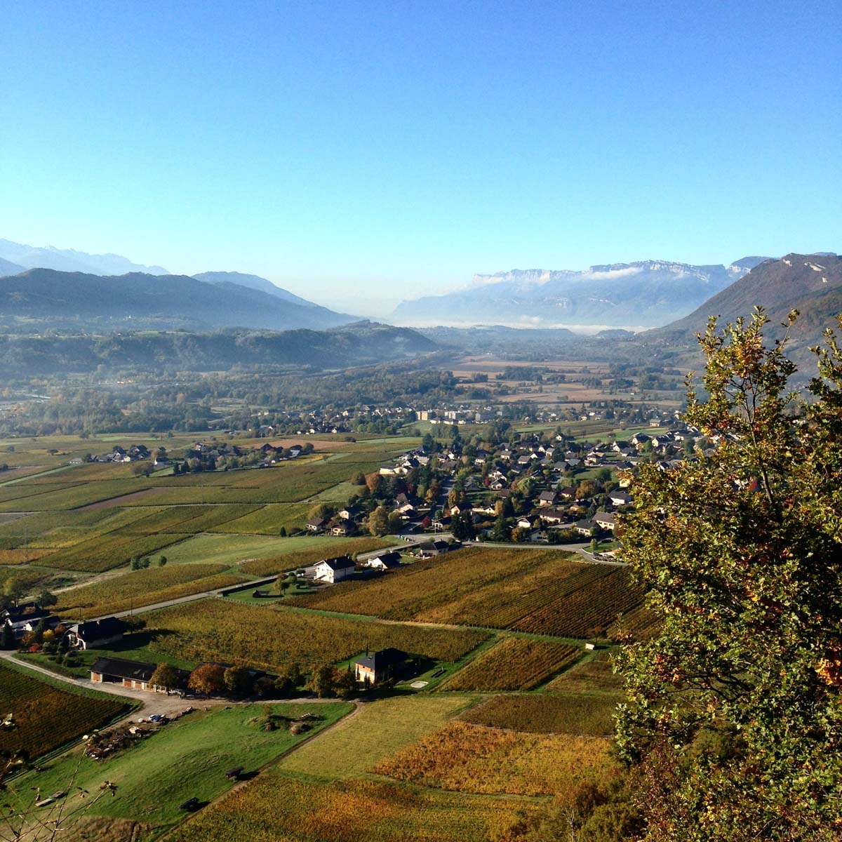 Auvergne Rhône Alpes