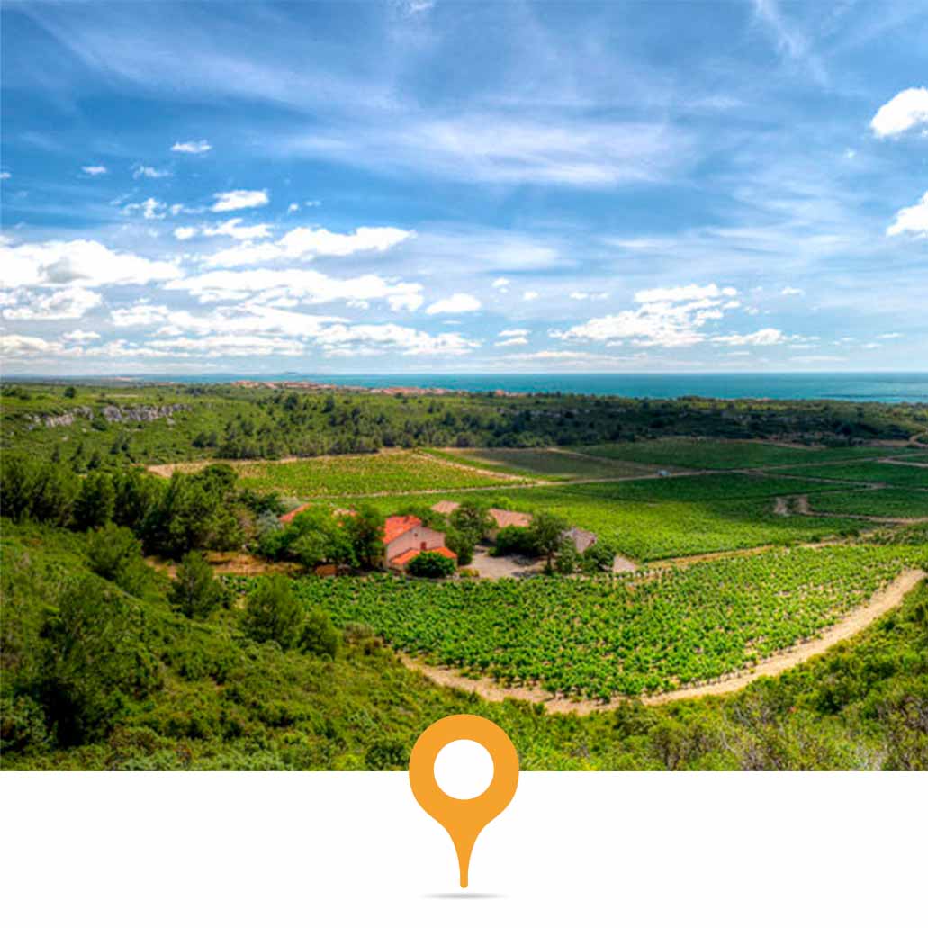 Vignobles de Montpellier